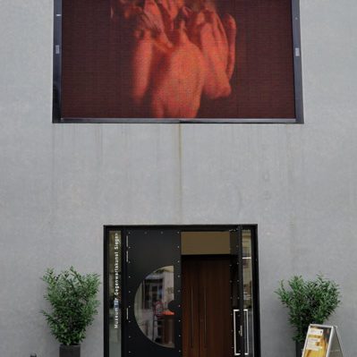 "Museum für Gegenwartskunst in Siegen, Eingang mit dem Foto "Tulips" auf der Video-Wand am Museumseingang", Foto © Friedhelm Denkeler 2011