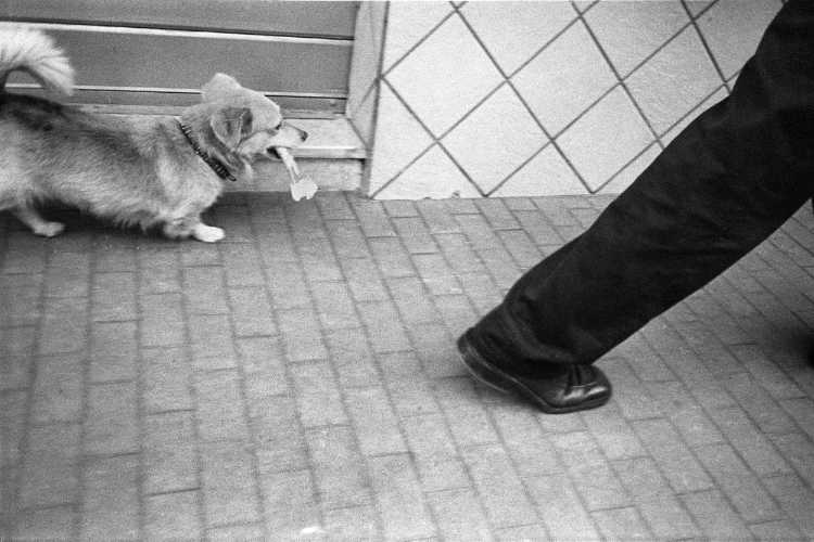 »Die Beute« (Hund und Herrchen), Foto © Friedhelm Denkeler 1998