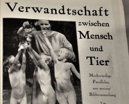 "Kirschenverteilung", Foto © Friedhelm Denkeler 2011