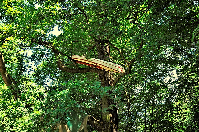 "Documenta 13: Shinro Ohtakes Boot im Baum", Foto © Friedhelm Denkeler 2012