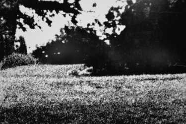 Don McCullin »Thomas' Blow-ups aus dem Park», 1966, Foto © Friedhelm Denkeler 2015