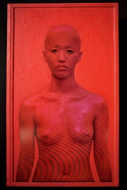 "Interferenzen", Body Paint (Serie) von Exonemo (JP), Drive (VW Forum), "Ars Electronica", Foto © Friedhelm Denkeler 2017