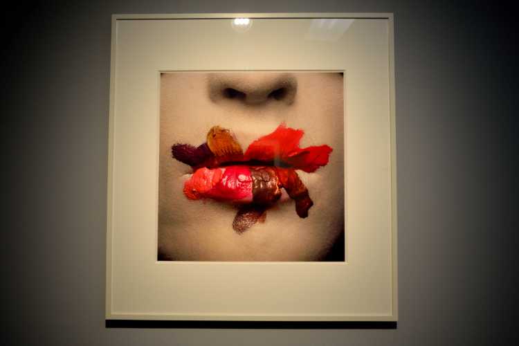 Irving Penn: »Mouth (for L’Oreal)«, New York, 1986, Ausstellung »Irving Penn – Centennial, der Jahrhundert-Fotograf«, C/O Berlin, Foto © Friedhelm Denkeler 2018