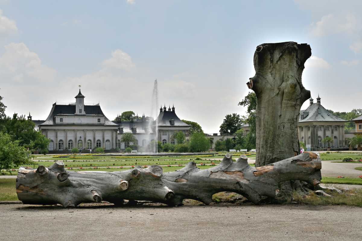 »Schlosspark Pillnitz«, Dresden, Foto © Friedhelm Denkeler 2022