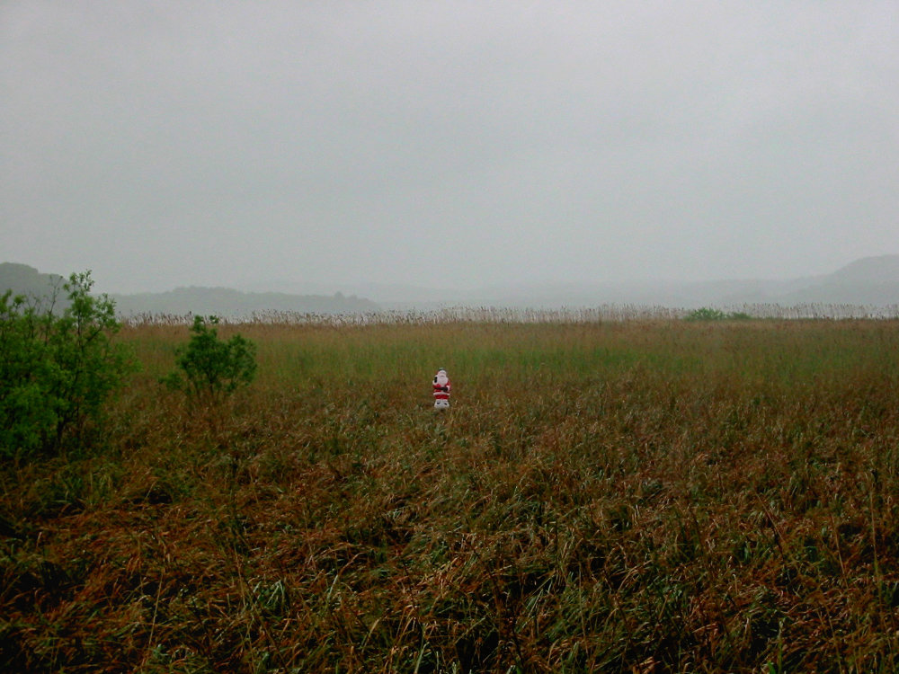 »Der Weihnachtsmann am Schmachter See«, Binz, Rügen, Foto © Friedhelm Denkeler 2005