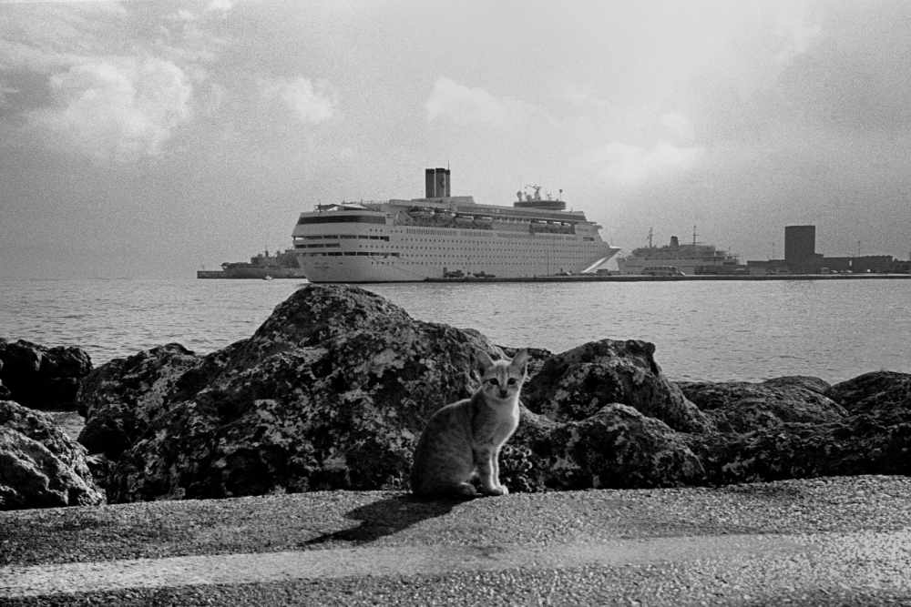 »Ich kann auch Katzenfotos«, Rhodos, aus dem Portfolio »Am Mittelmeer«, Foto © Friedhelm Denkeler 1997